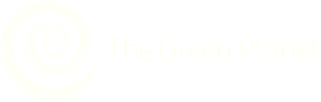 Media - Media 1