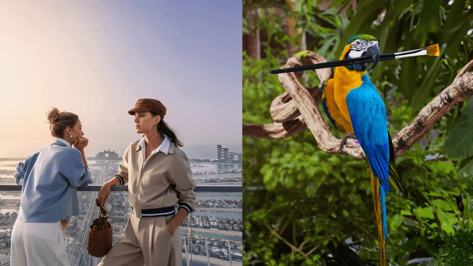 The Green Planet +  The View at the Palm &#8211; Combo - Image 1